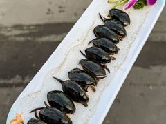 -美未居·老字号·地道顺德菜·桑拿鸡·鱼生(容桂店)