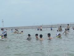 -碧海金沙