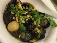 湘潭九龙鱼头店(城南西路天心阁店)-湘潭九龙鱼头店(城南西路店)