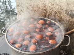 -两棵树馄饨店(渔梁住保小区店)