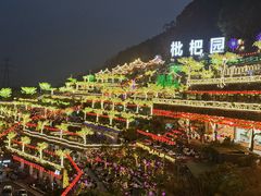 -枇杷园食为鲜火锅(南山店)