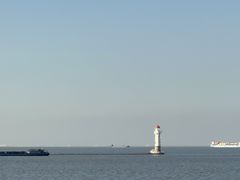 -上海滨江森林公园