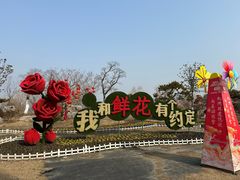 -南通鲜花小镇