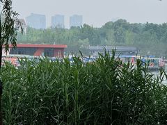 -WhaleSports户外水上运动俱乐部(朝阳公园店)