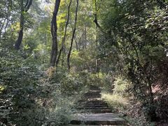 -岳麓山风景名胜区