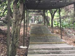 -清溪大王山森林公园
