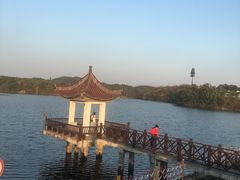 -大塘金香草谷