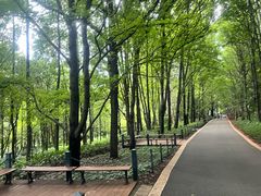 -昆明植物园