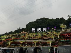 -枇杷园食为鲜火锅(南山店)