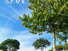 -小麦岛公园