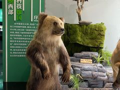 -昆明动物博物馆