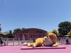 -渔岛海洋度假区