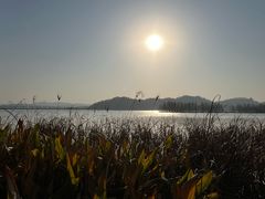 -东湖落雁景区