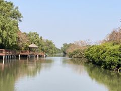 -大湾区中央湿地公园