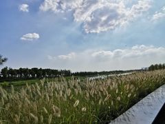 -春花秋色城市公园