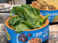油麦菜-龍歌自助小火锅(李沧丽达店)