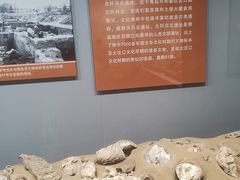 -青岛市博物馆