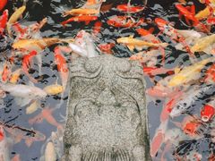 -西林禅寺