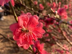 -水濂山森林公园