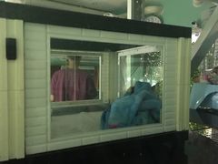 -雨林宠物医院 非犬猫异宠专科