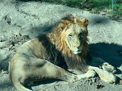 -北京野生动物园