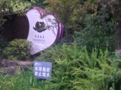 门面-铁山坪森林公园