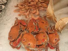 -视界美食自助餐厅·石家庄希尔顿酒店