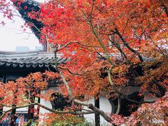 景点-太平天国天王府遗址