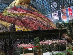 -花之城