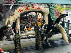 -西双版纳原始森林公园