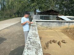 -池杉湖湿地公园
