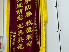 -中农国际动物医院24小时·猫科·骨科·急重症中心