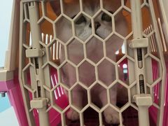 -特一安24小时宠物医院·骨科·中兽医