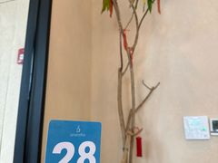 -Jamaicablue Coffeeshop(中央广场店)