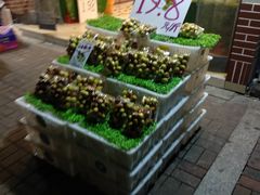 -鲜丰水果(滨江新城店)
