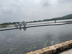 -上海月湖雕塑公园