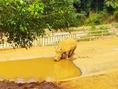 -泉州海丝野生动物世界