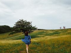 -鹅銮鼻公园