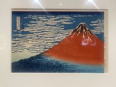 -遇见博物馆(遇见海洋沉浸式奇幻光影展)