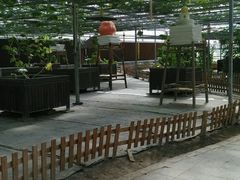 -上海都市菜园