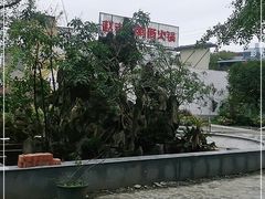 -九尺赵老四鲜鹅肠火锅