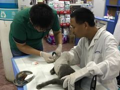 -恒康宠物医院(司背后街店)