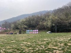 -南京老山国家森林公园