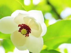 -关门山森林公园