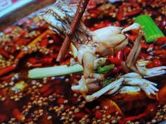 -味之绝美蛙鱼火锅(八号路店)