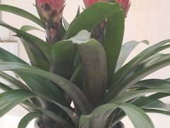 -海之声助听器 瑞士峰力直营中心(华麟大厦店)