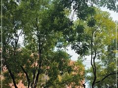 -中国宋庆龄青少年科技文化交流中心