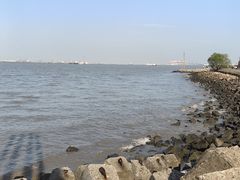 -上海滨江森林公园