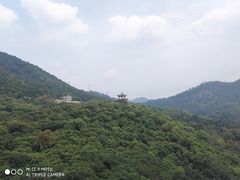 -清溪大王山森林公园