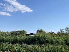 -永定河休闲森林公园